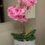 Precioso Piso Recien Reformado En Apartmán