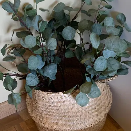 Precioso Piso Recien Reformado En Apartment Zaragoza