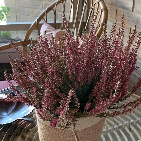 Precioso Piso Recién Reformado En Appartamento *