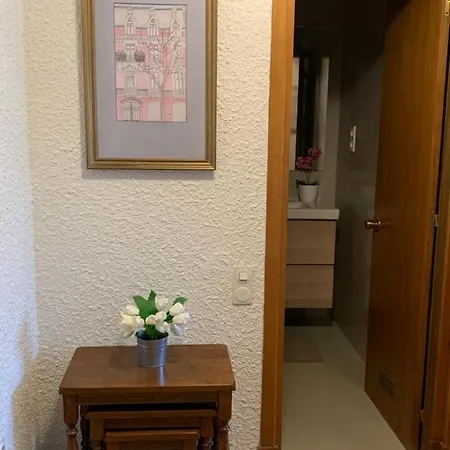 Apartment Precioso Piso Recien Reformado En Zaragoza