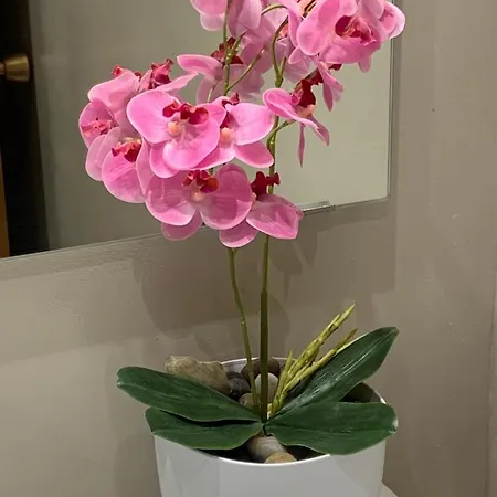 Precioso Piso Recien Reformado En Apartment