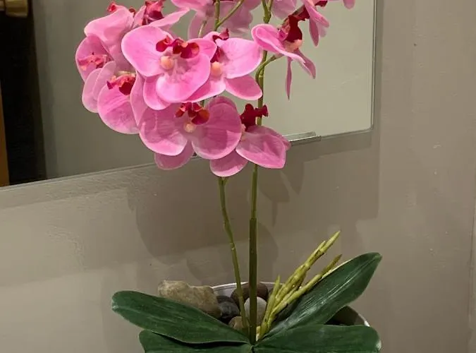 Precioso Piso Recien Reformado En Apartman